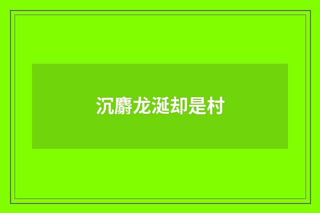 沉麝龙涎却是村