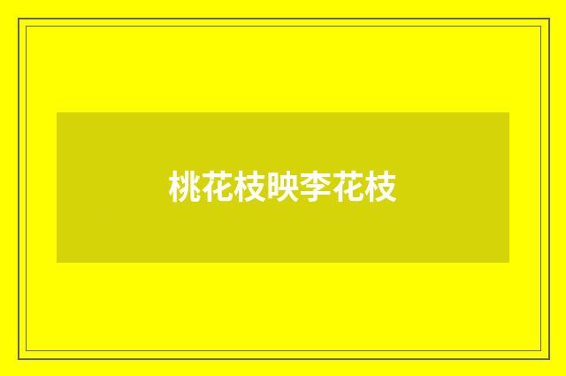 桃花枝映李花枝