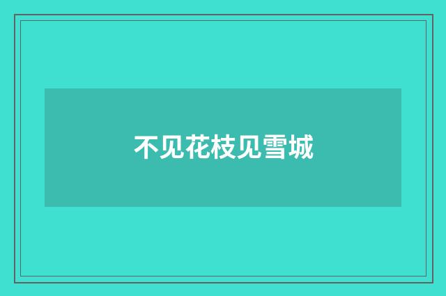 不见花枝见雪城