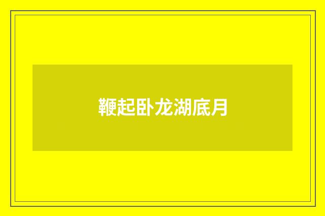 鞭起卧龙湖底月