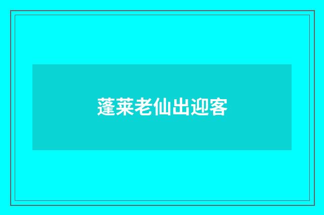 蓬莱老仙出迎客