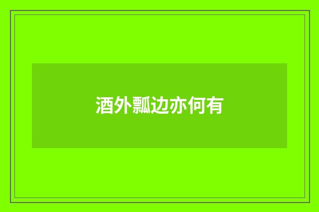 酒外瓢边亦何有