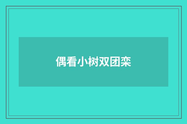 偶看小树双团栾