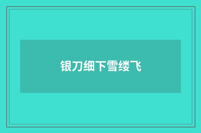 银刀细下雪缕飞