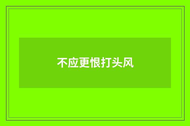 不应更恨打头风