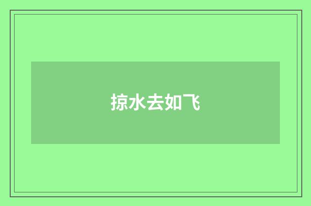 掠水去如飞