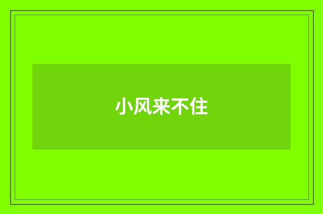 小风来不住