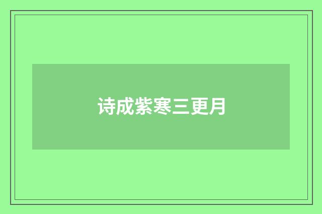 诗成紫寒三更月