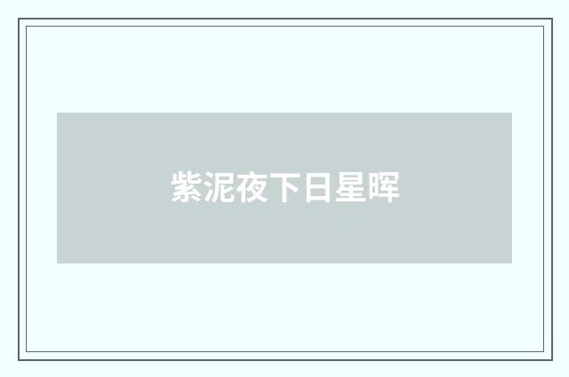 紫泥夜下日星晖