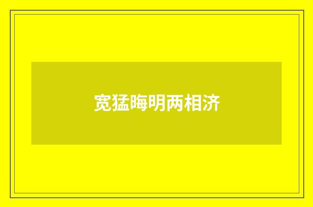 宽猛晦明两相济