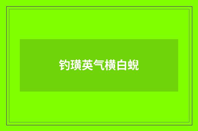 钓璜英气横白蜺