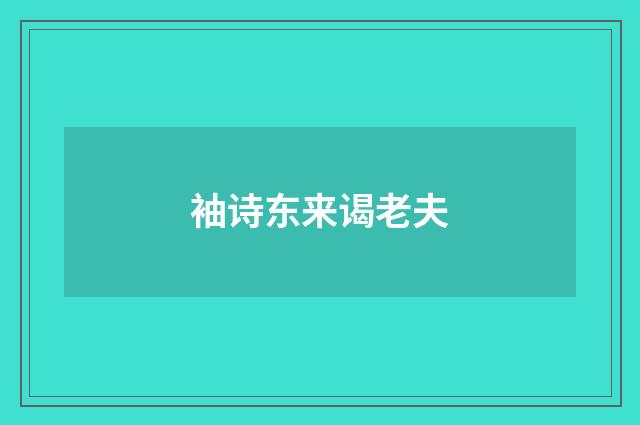 袖诗东来谒老夫