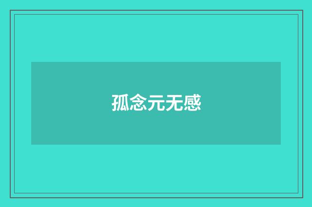 孤念元无感