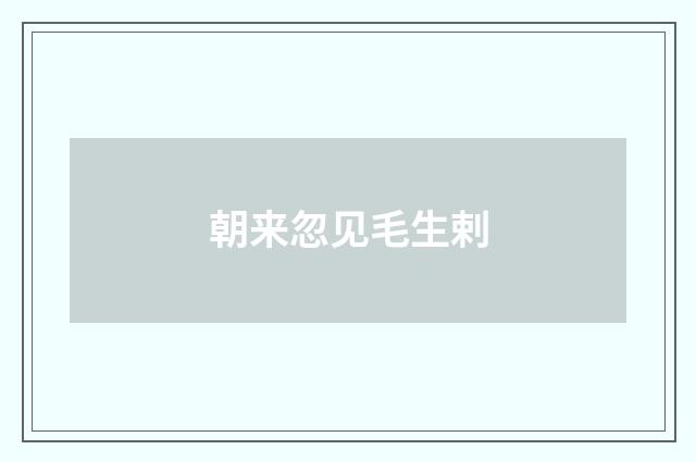 朝来忽见毛生剌