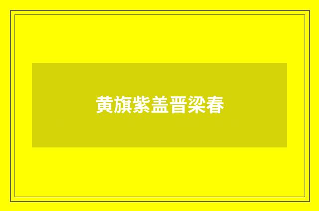 黄旗紫盖晋梁春