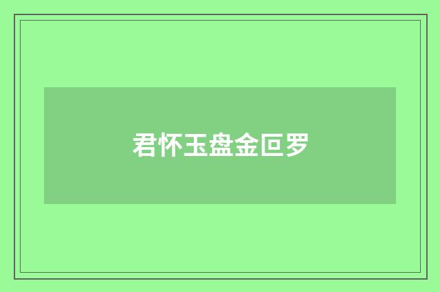 君怀玉盘金叵罗