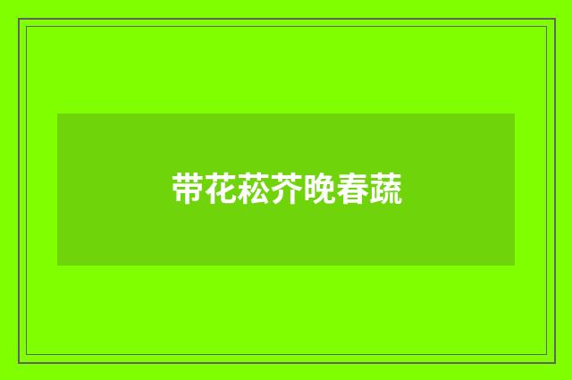 带花菘芥晚春蔬