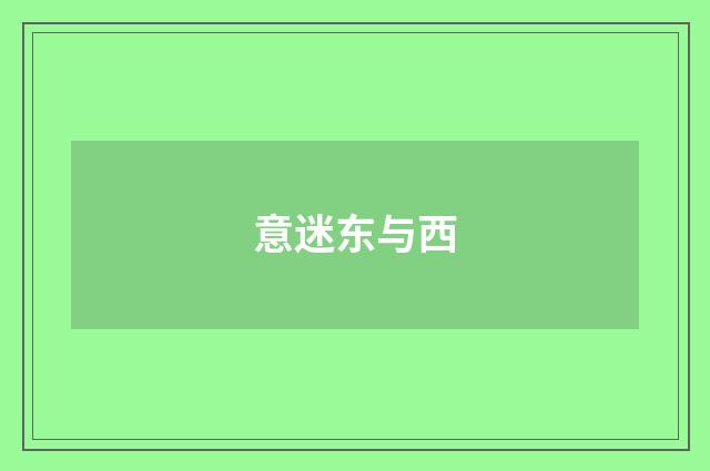 意迷东与西