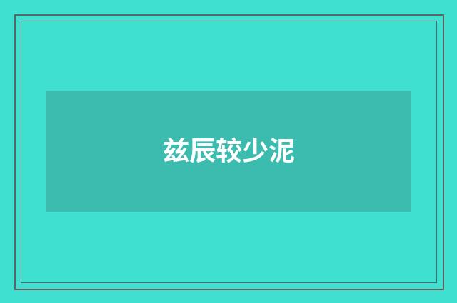 兹辰较少泥