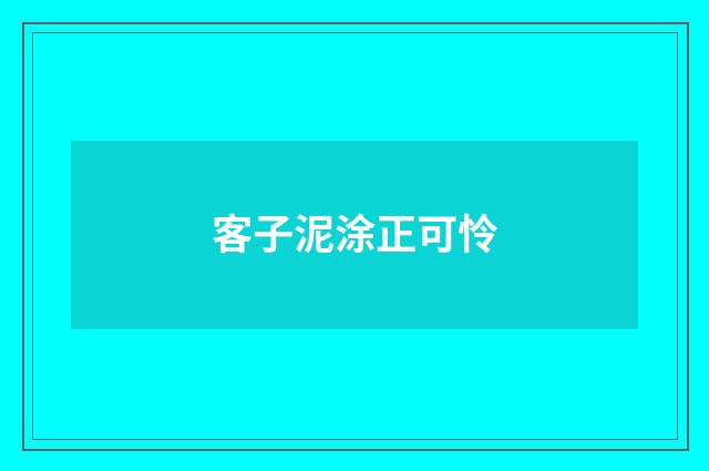 客子泥涂正可怜