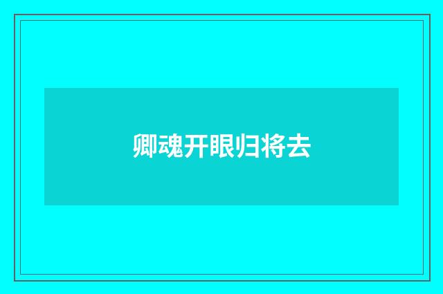 卿魂开眼归将去