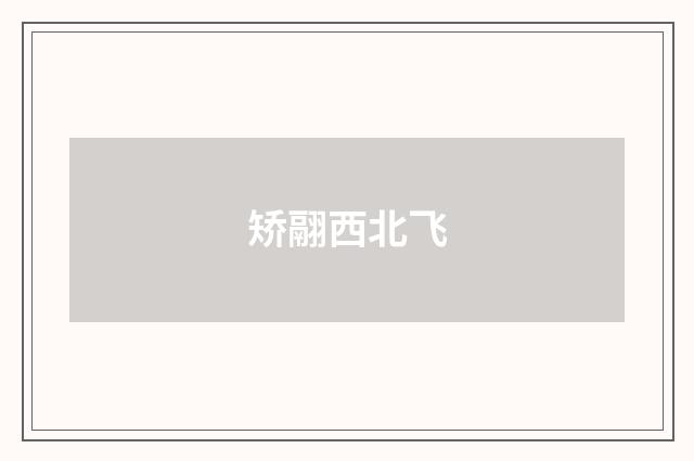 矫翮西北飞