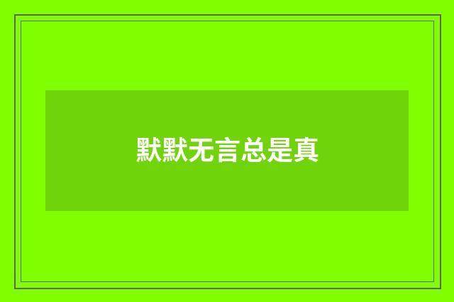 默默无言总是真