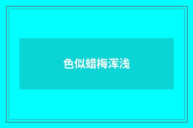 色似蜡梅浑浅