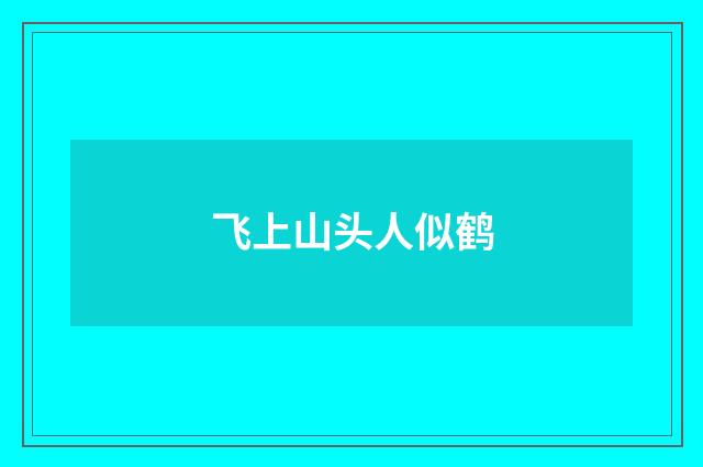 飞上山头人似鹤