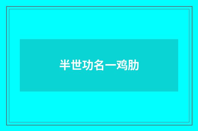 半世功名一鸡肋