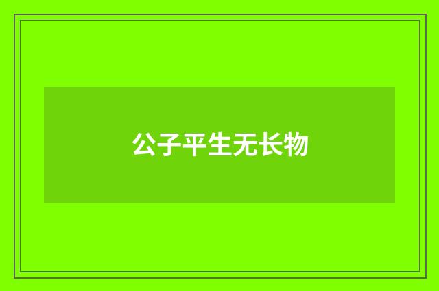 公子平生无长物