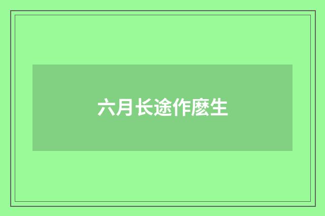 六月长途作麽生