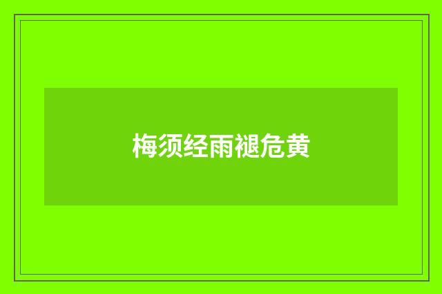 梅须经雨褪危黄