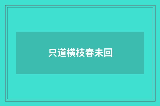 只道横枝春未回