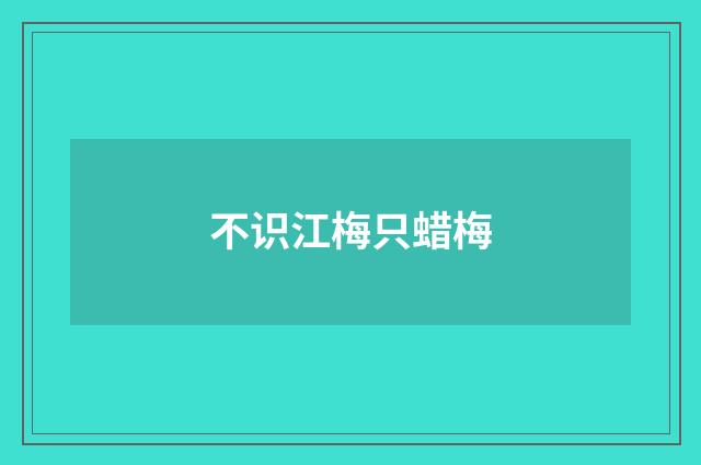 不识江梅只蜡梅