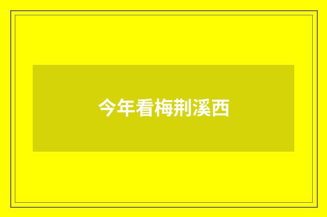 今年看梅荆溪西