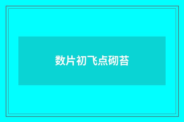 数片初飞点砌苔