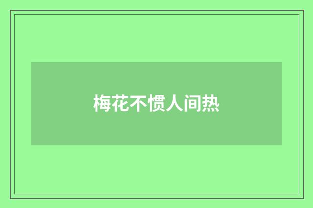 梅花不惯人间热
