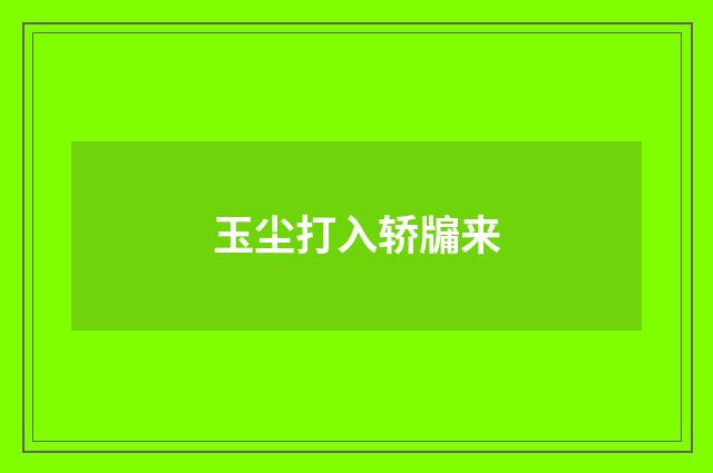 玉尘打入轿牖来