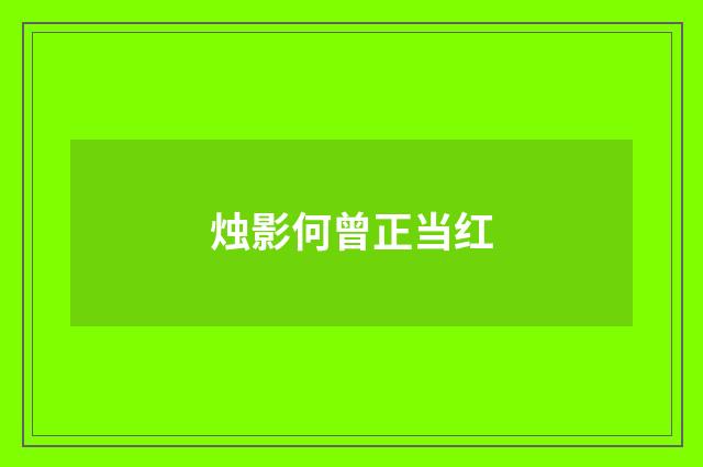 烛影何曾正当红