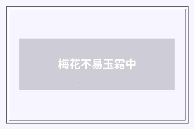 梅花不易玉霜中