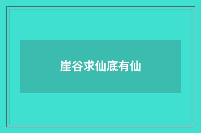 崖谷求仙底有仙