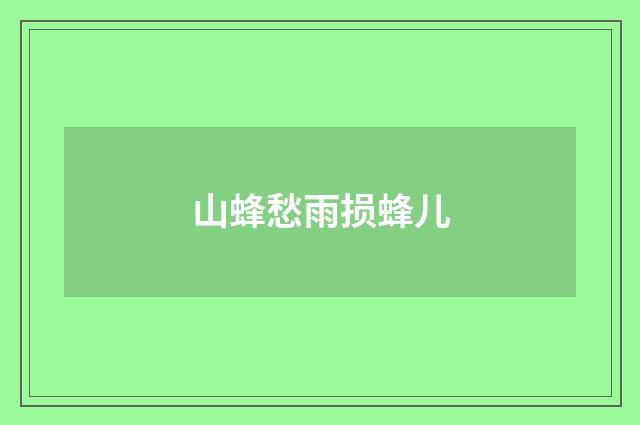 山蜂愁雨损蜂儿