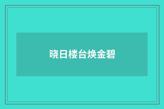 晓日楼台焕金碧