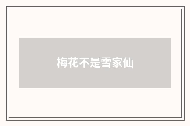 梅花不是雪家仙
