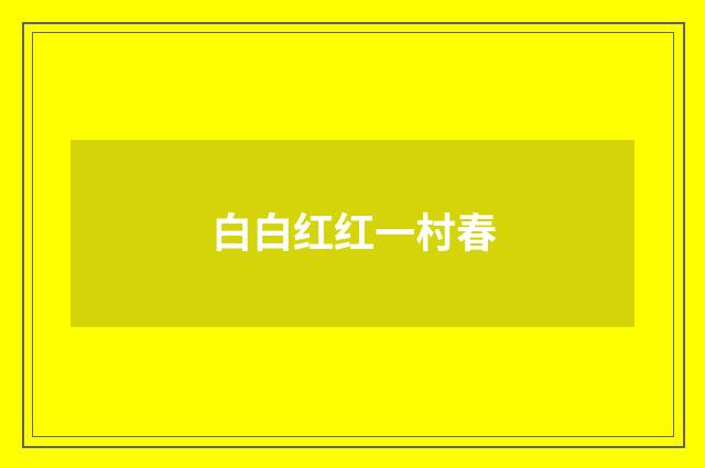 白白红红一村春