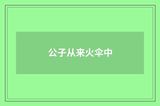 公子从来火伞中