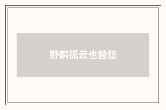 野鹤孤云也替愁