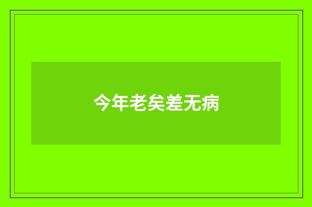 今年老矣差无病