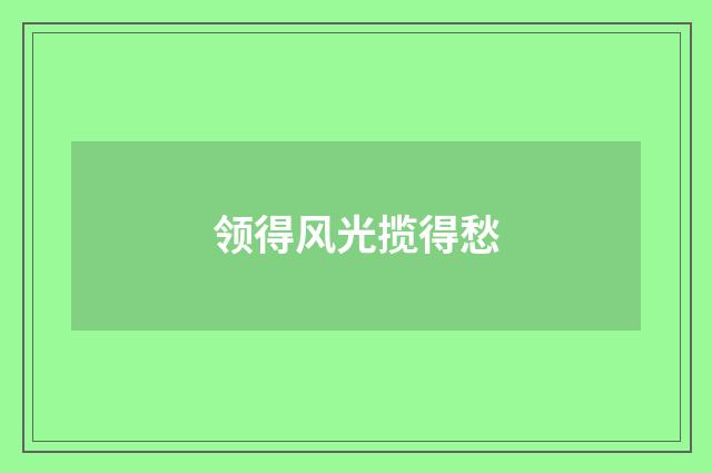 领得风光揽得愁